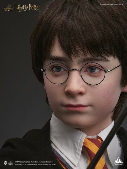 QUEEN STUDIOS - Harry Potter 1:1 Scale Bust