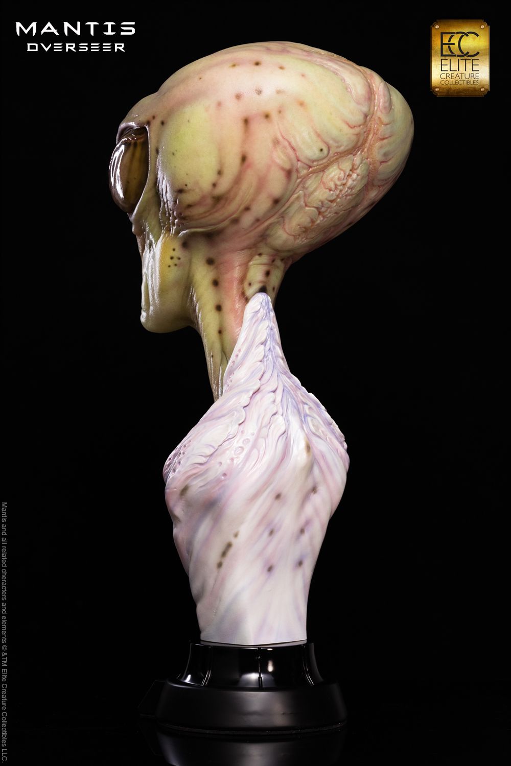 ECC ELITE CREATURE COLLECTIBLES - Mantis Overseer 1:1 Scale Bust by Steve Wang