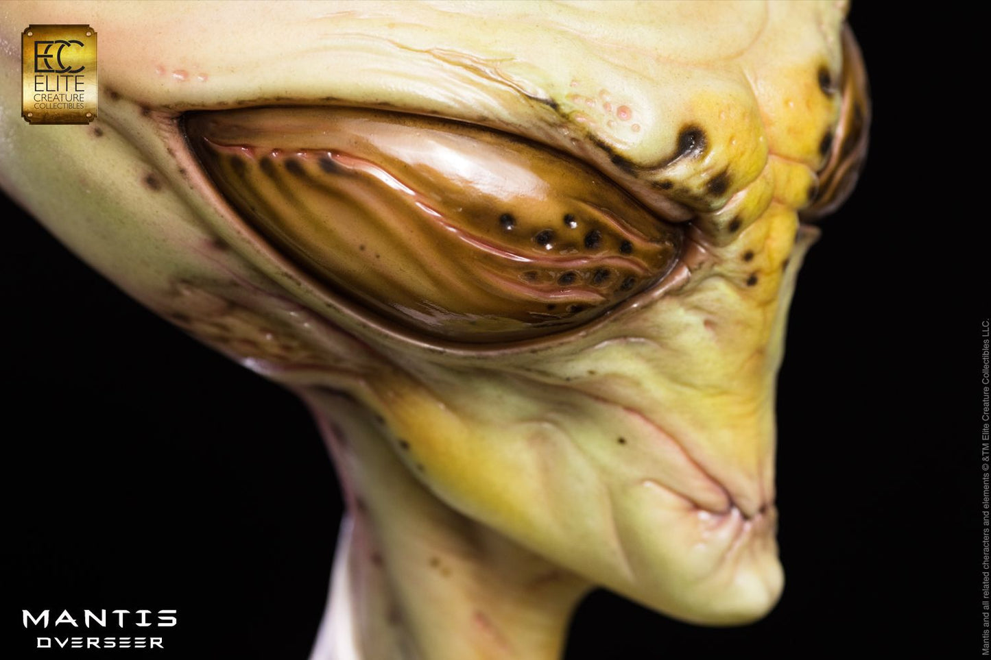 ECC ELITE CREATURE COLLECTIBLES - Mantis Overseer 1:1 Scale Bust by Steve Wang