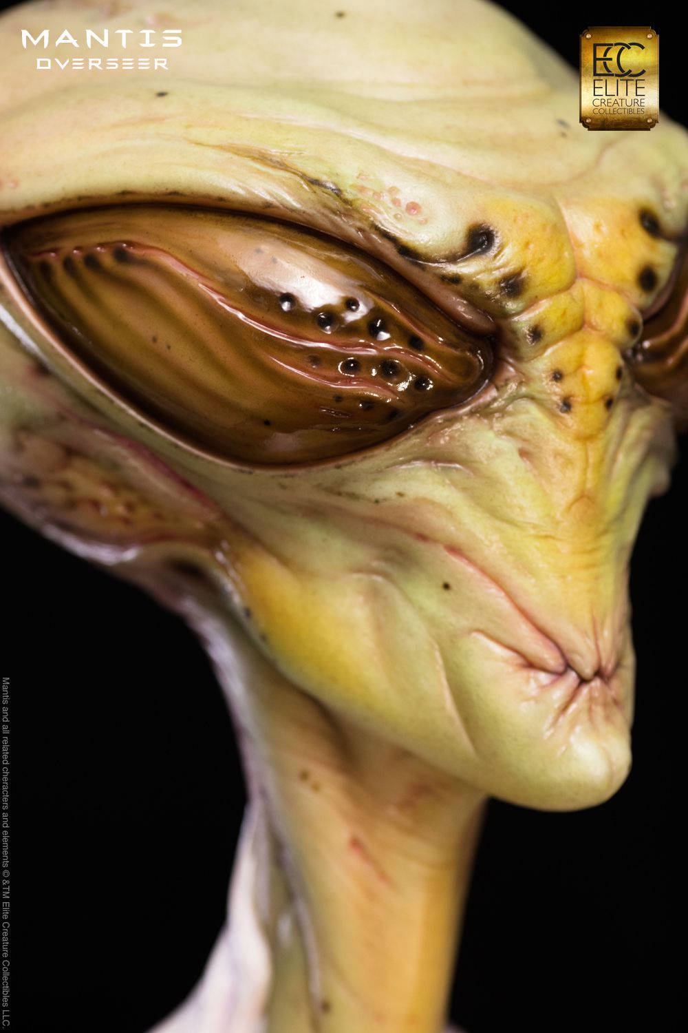 ECC ELITE CREATURE COLLECTIBLES - Mantis Overseer 1:1 Scale Bust by Steve Wang