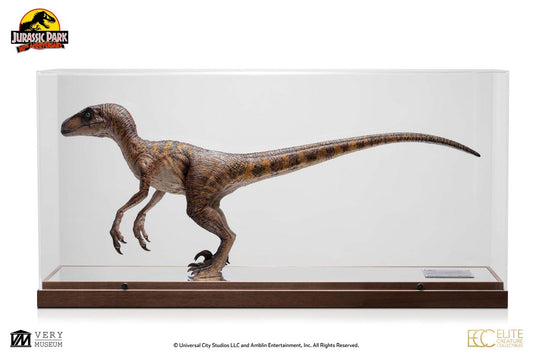 TOYNAMI - Jurassic Park: Clever Girl Velociraptor 1:4 Scale Maquette with Acrylic Case