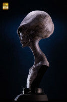 ELITE CREATURE COLLECTIBLES - Reptilian Grey Bust by Steve Wang