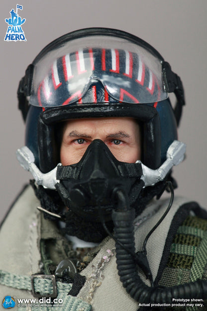 DID -  The US Navy Fighter Weapons School Instructor F/A-18E Pilot – Captain Mitchell  1/12