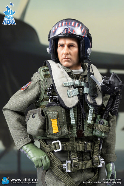 DID -  The US Navy Fighter Weapons School Instructor F/A-18E Pilot – Captain Mitchell  1/12