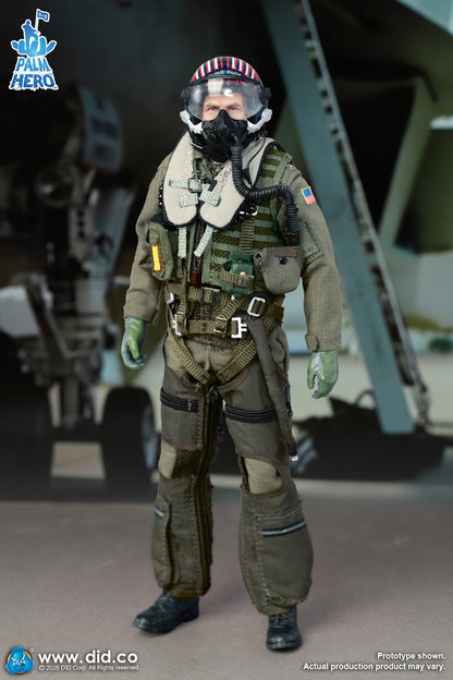 DID -  The US Navy Fighter Weapons School Instructor F/A-18E Pilot – Captain Mitchell  1/12