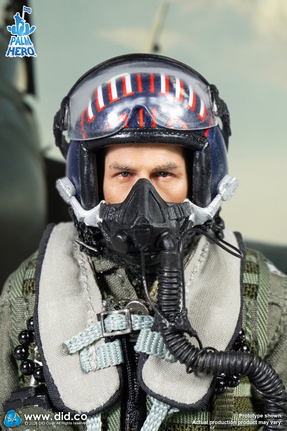 DID -  The US Navy Fighter Weapons School Instructor F/A-18E Pilot – Captain Mitchell  1/12