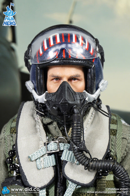 DID -  The US Navy Fighter Weapons School Instructor F/A-18E Pilot – Captain Mitchell  1/12