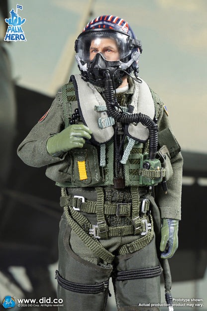 DID -  The US Navy Fighter Weapons School Instructor F/A-18E Pilot – Captain Mitchell  1/12