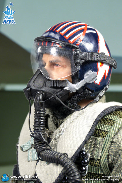 DID -  The US Navy Fighter Weapons School Instructor F/A-18E Pilot – Captain Mitchell  1/12