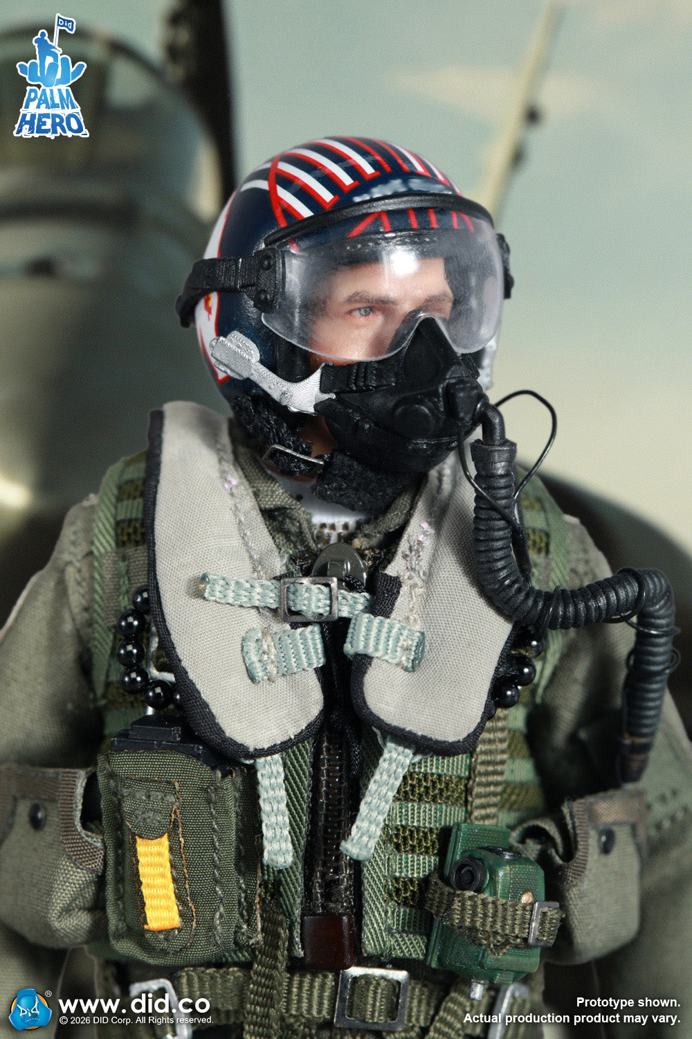 DID -  The US Navy Fighter Weapons School Instructor F/A-18E Pilot – Captain Mitchell  1/12