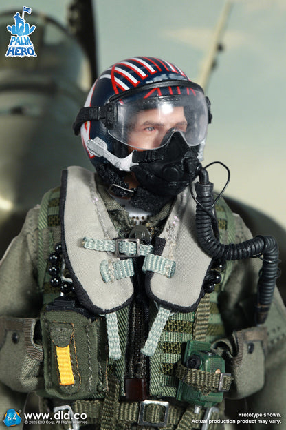 DID -  The US Navy Fighter Weapons School Instructor F/A-18E Pilot – Captain Mitchell  1/12