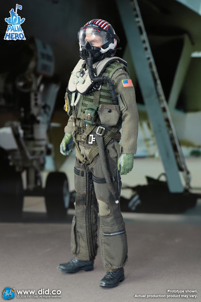 DID -  The US Navy Fighter Weapons School Instructor F/A-18E Pilot – Captain Mitchell  1/12