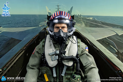 DID -  The US Navy Fighter Weapons School Instructor F/A-18E Pilot – Captain Mitchell  1/12
