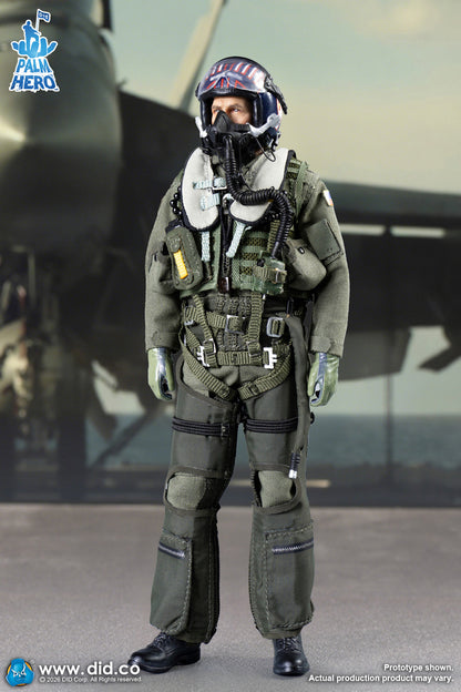 DID -  The US Navy Fighter Weapons School Instructor F/A-18E Pilot – Captain Mitchell  1/12