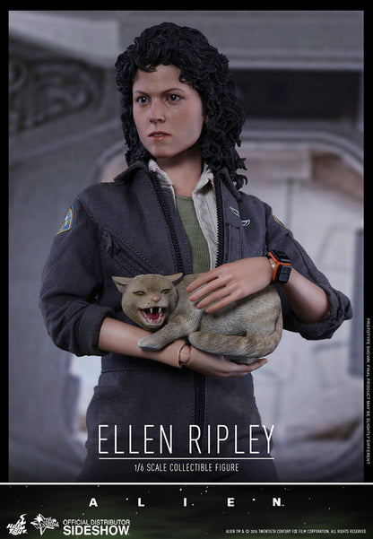 HOT TOYS - Alien - Ellen Ripley - Movie Masterpiece 1:6 Action Doll