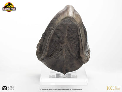 ECC - T-Rex Foot Claw