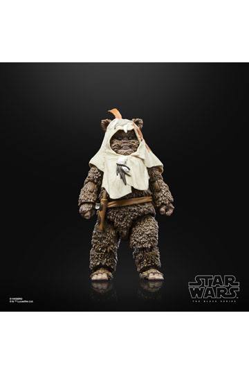 HASBRO - Star Wars Episode VI 40th Anniversary Black Series Action Figure Paploo