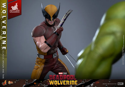 HOT TOYS - Wolverine (Classic Brown and Tan)  MMS831