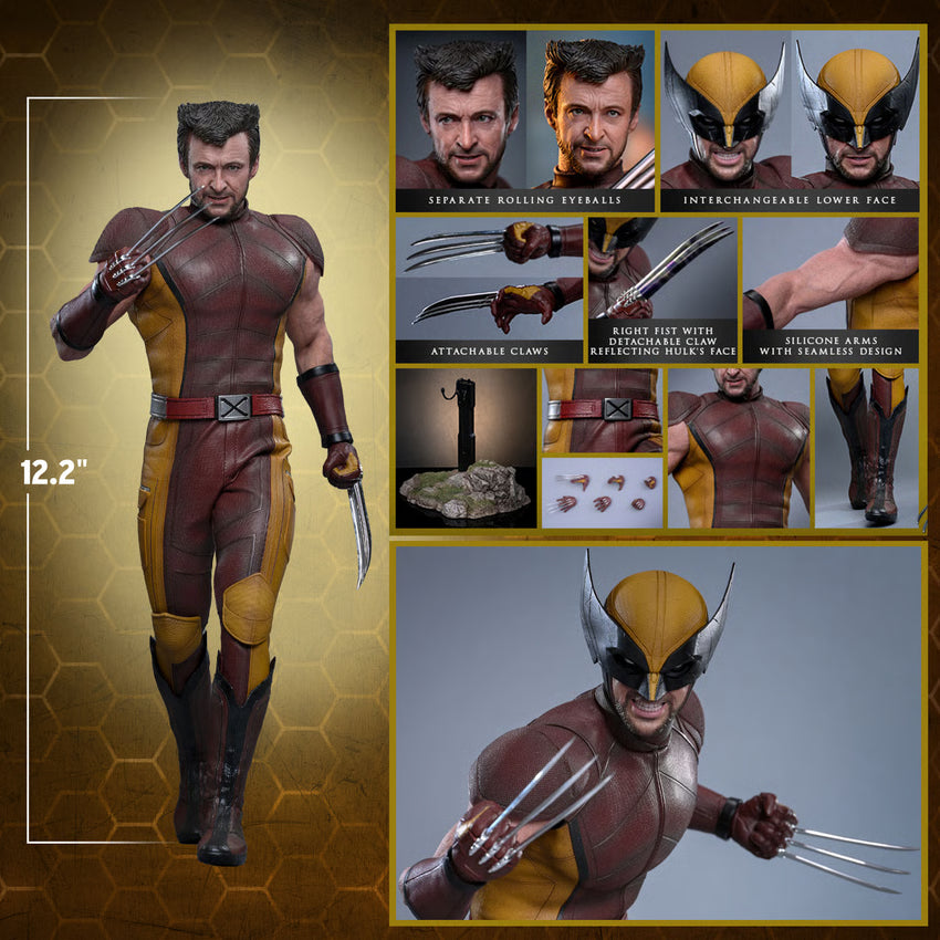 HOT TOYS - Wolverine (Classic Brown and Tan)  MMS831