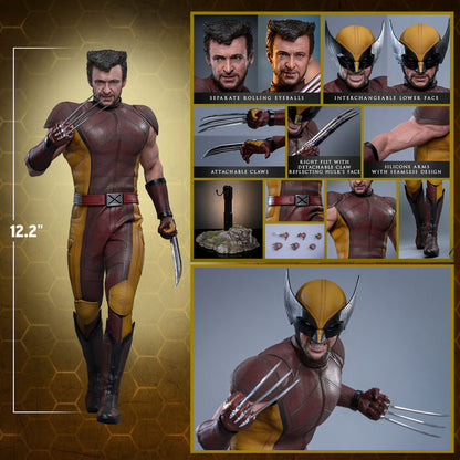 HOT TOYS - Wolverine (Classic Brown and Tan)  MMS831