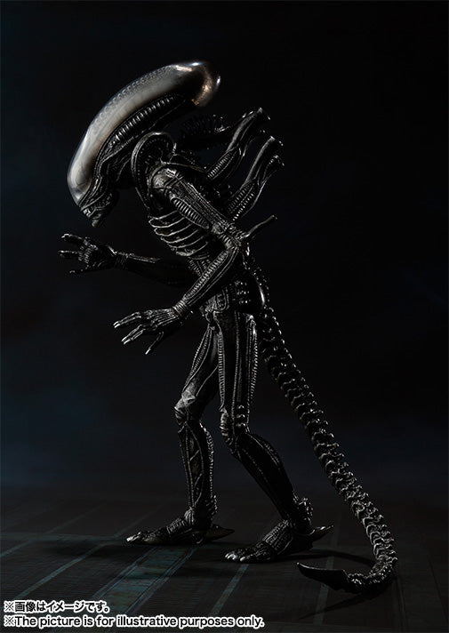 BANDAI - S.H. MonsterArts Action Figure - Alien Big Chap