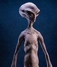 TOYNAMY - ECC's Elite Creature Line Statue Reptilian Grey Maquette by Steve Wang