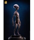 TOYNAMY - ECC's Elite Creature Line Statue Reptilian Grey Maquette by Steve Wang