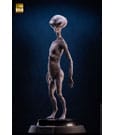 TOYNAMY - ECC's Elite Creature Line Statue Reptilian Grey Maquette by Steve Wang