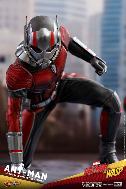 HOT TOYS - Marvel - Ant-Man and The Wasp - Ant-Man - Movie Masterpiece 1:6 Action Doll MMS497