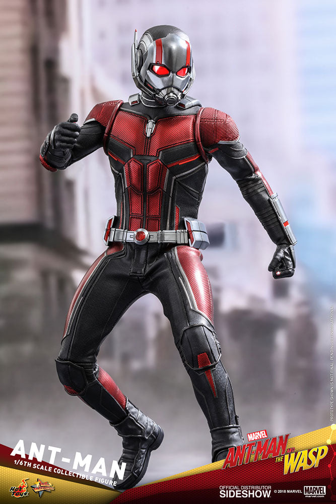 HOT TOYS - Marvel - Ant-Man and The Wasp - Ant-Man - Movie Masterpiece 1:6 Action Doll MMS497