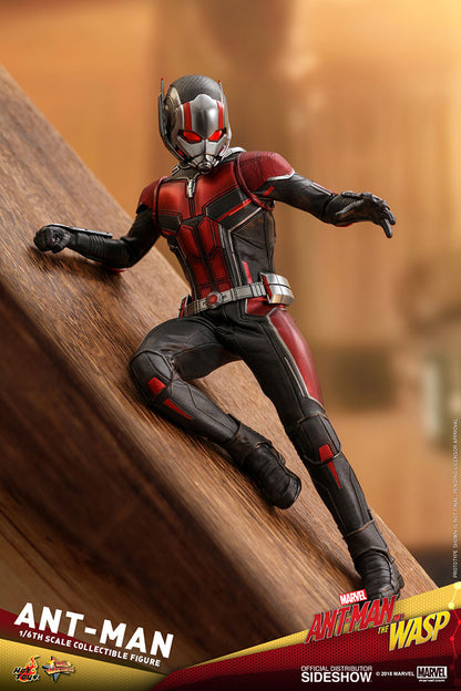 HOT TOYS - Marvel - Ant-Man and The Wasp - Ant-Man - Movie Masterpiece 1:6 Action Doll MMS497