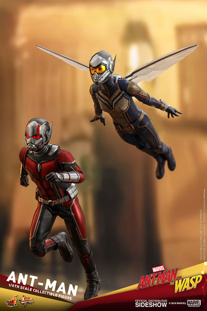 HOT TOYS - Marvel - Ant-Man and The Wasp - Ant-Man - Movie Masterpiece 1:6 Action Doll MMS497