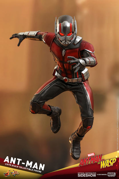 HOT TOYS - Marvel - Ant-Man and The Wasp - Ant-Man - Movie Masterpiece 1:6 Action Doll MMS497