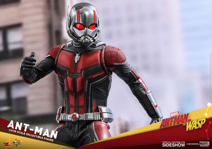 HOT TOYS - Marvel - Ant-Man and The Wasp - Ant-Man - Movie Masterpiece 1:6 Action Doll MMS497