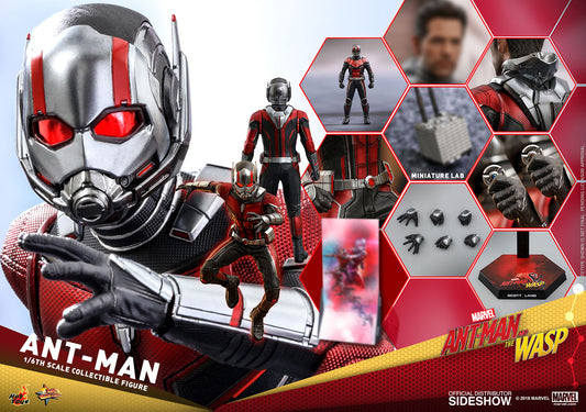 HOT TOYS - Marvel - Ant-Man and The Wasp - Ant-Man - Movie Masterpiece 1:6 Action Doll MMS497