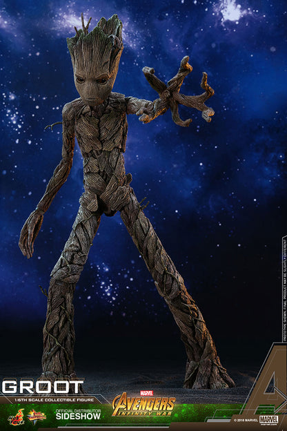 HOT TOYS - Marvel - Avengers Infinity War - Groot - Movie Masterpiece 1:6 Action Doll