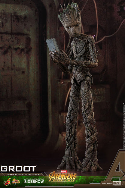 HOT TOYS - Marvel - Avengers Infinity War - Groot - Movie Masterpiece 1:6 Action Doll