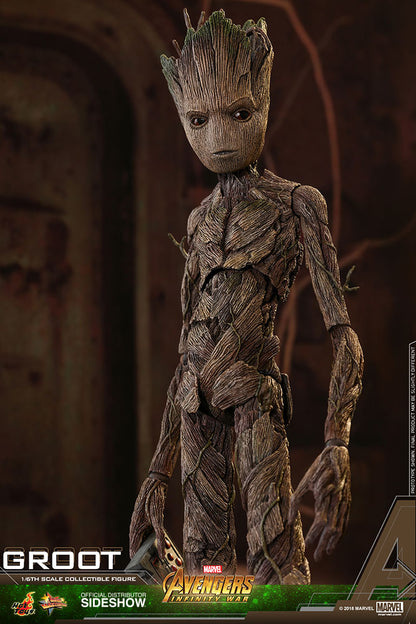 HOT TOYS - Marvel - Avengers Infinity War - Groot - Movie Masterpiece 1:6 Action Doll