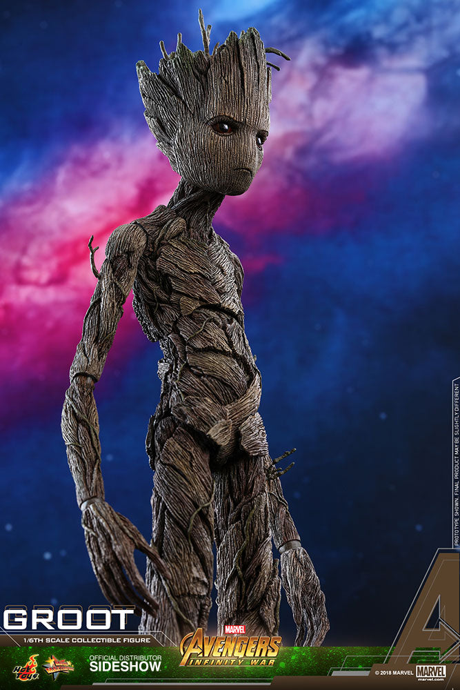 HOT TOYS - Marvel - Avengers Infinity War - Groot - Movie Masterpiece 1:6 Action Doll