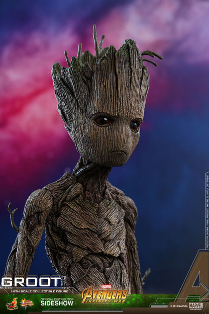 HOT TOYS - Marvel - Avengers Infinity War - Groot - Movie Masterpiece 1:6 Action Doll