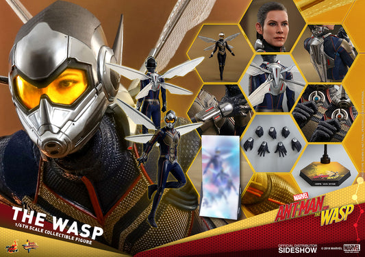 HOT TOYS - Marvel - Ant-Man and The Wasp - Wasp - Movie Masterpiece 1:6 Action Doll  MMS498