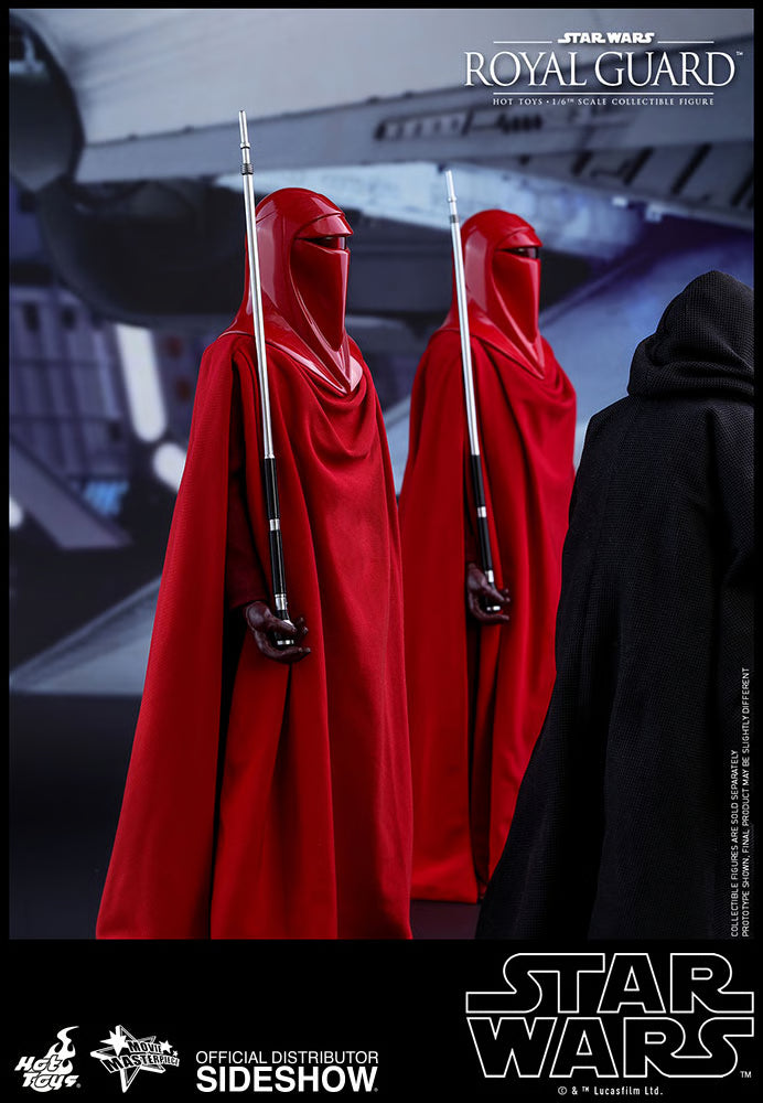 HOT TOYS - Star Wars VI Royal Guard MMS469