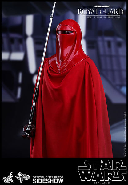 HOT TOYS - Star Wars VI Royal Guard MMS469
