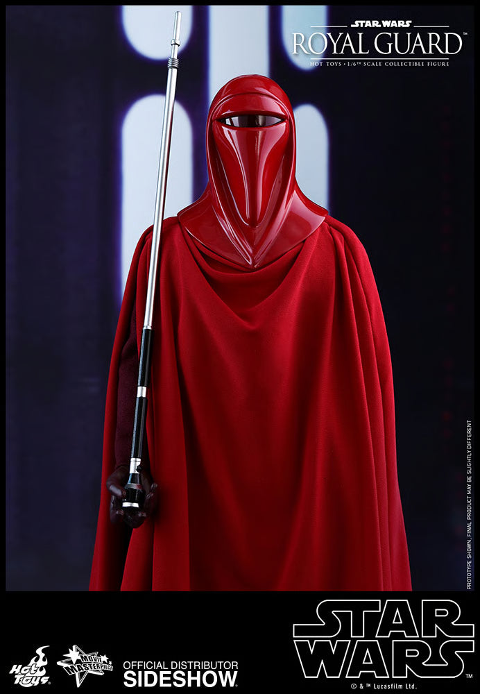 HOT TOYS - Star Wars VI Royal Guard MMS469