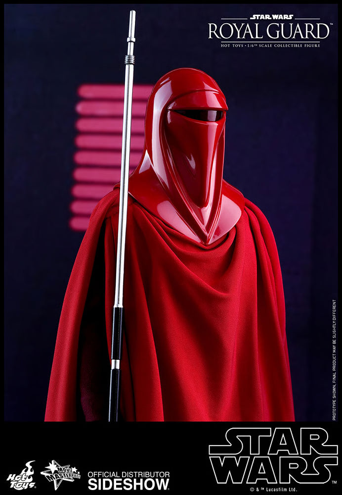 HOT TOYS - Star Wars VI Royal Guard MMS469