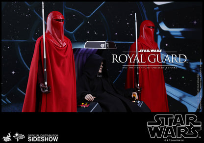 HOT TOYS - Star Wars VI Royal Guard MMS469
