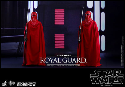 HOT TOYS - Star Wars VI Royal Guard MMS469