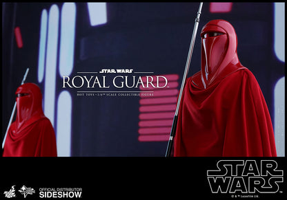 HOT TOYS - Star Wars VI Royal Guard MMS469