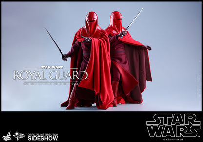 HOT TOYS - Star Wars VI Royal Guard MMS469