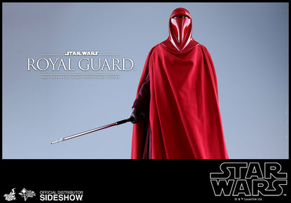 HOT TOYS - Star Wars VI Royal Guard MMS469